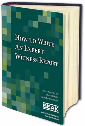 How to Be a Successful Expert Witness